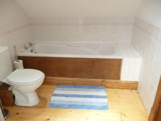 Croft Flat - Kilgetty - 7