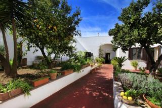 B&B Monsellato - Presicce - 6