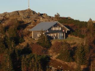 Waldhotel Seebachschleife - Bayerisch Eisenstein - 2