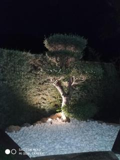 Casa Rural Los Cascajales - Benaoján - 6