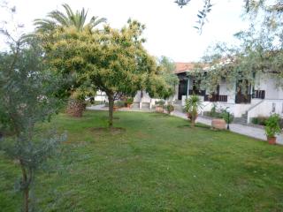 Villa Dafni Studios - Limenas - 9