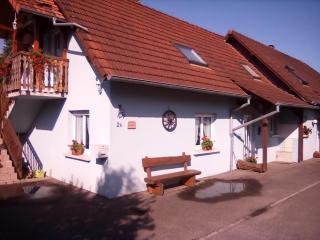 Les gîtes du lindenberg - Dambach - 0