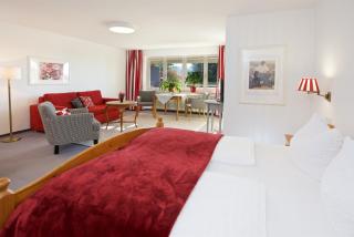 Landhotel Herzberger garni Zimmer & Ferienwohnungen - Scheidegg - 7