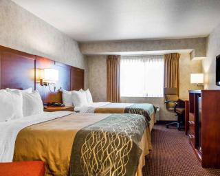 Comfort Inn Watsonville - Watsonville - 9