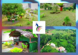 New Peacock Resort - Dambulla - 4