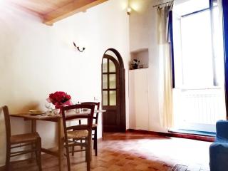 1 pitti apartment - Florencia - 4