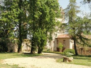 Magnificent holiday home with pool - Saint-Paul-du-Bois - 4