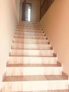 Hotel "Sola"/სასტუმრო "სოლა" - 7