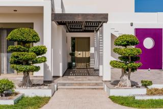 Filerimos Oasis Luxury Villa - Ialyssos - 8