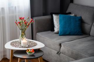 Apartament Europejski - Gorzów Wielkopolski - 5