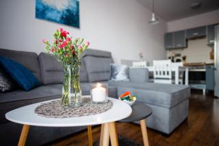 Apartament Europejski - Gorzów Wielkopolski - 6