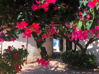 Villaggio Torre Ruffa - Capo Vaticano - 3