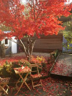 B&B Les Hauts d'Ornans - Ornans - 5