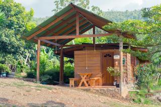 Ecolodge Rain - Pedregoso - 9