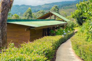 Ecolodge Rain - Pedregoso - 0