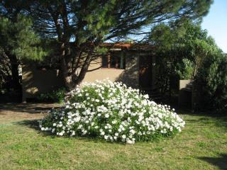 La Lucinda - Campo y mar - 6