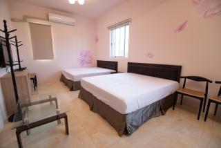 Silver Blue B&B 待月民宿台東縣民宿登記第1489號 - Taitung - 1