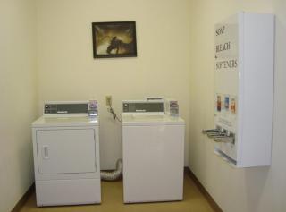 Best Western Executive Inn - Corsicana - 6