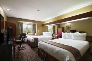 Microtel Inn & Suites by Wyndham Lithonia/Stone Mountain - Lithonia - 8