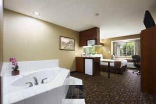 Microtel Inn & Suites by Wyndham Lithonia/Stone Mountain - 7