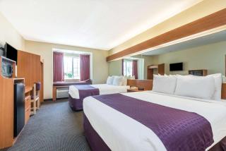 Microtel Inn & Suites by Wyndham Auburn - Auburn - 5