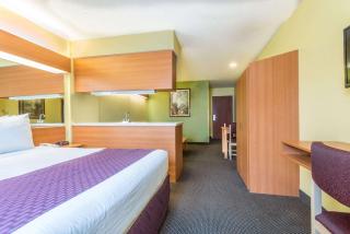 Microtel Inn & Suites by Wyndham Auburn - Auburn - 8