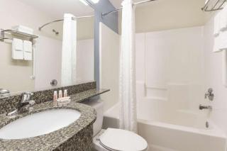 Microtel Inn & Suites by Wyndham Spring Hill/Weeki Wachee - Weeki Wachee - 1