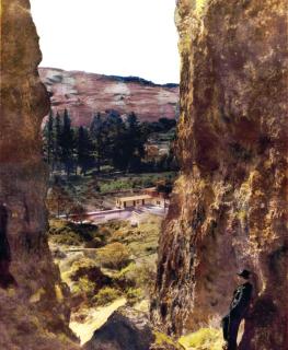 Te Puia Hot Springs Hotel - Te Puia - 7