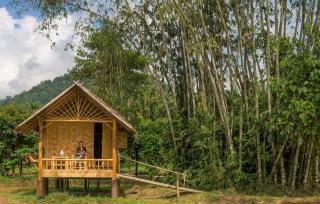 Our Jungle Camp - Eco Resort - Parco Nazionale di Khao Sok - 1