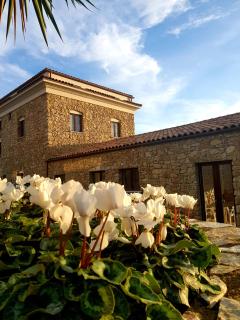 Hotel Villa Flora Relais - Caltanissetta - 6