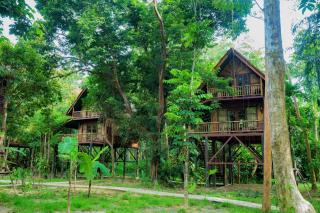Our Jungle Camp - Eco Resort - 9