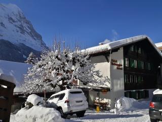Hotel Tschuggen - Grindelwald - 4