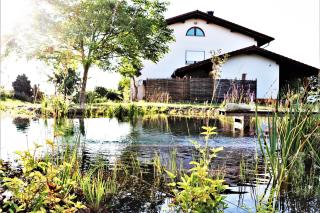 BioWeingut & Landhotel Gänz - 9