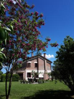 Barchessa Da Rio - Ponte San Nicolo - 9