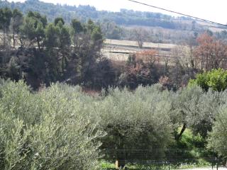 Gîte en provence au coeur des vignes - Villedieu - 6