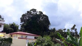 1 à 3 chambres proche aéroport - Les Abymes - 7