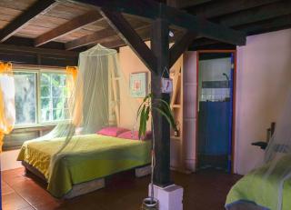 Mosana Reef Garden B&B - Bocas del Toro - 7