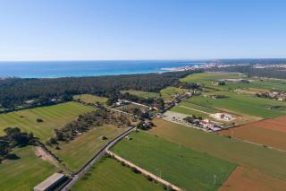 S'hort de Marina - Ses Covetes - 7