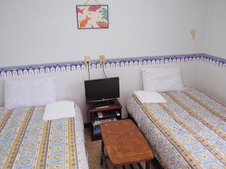 Pension New Hamanoso - Isola di Ishigaki - 5