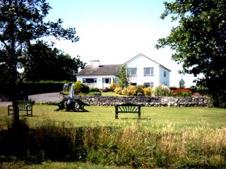 The Waterfront House Country Home - Oughterard - 8