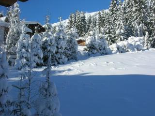 Apartment Valtiner - Sankt Anton am Arlberg - 2
