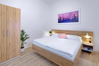 DownTown Suites Jugoslavska - Prague - 1