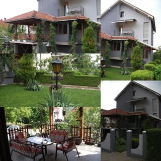 Đokić apartmani - Soko Banja - 0