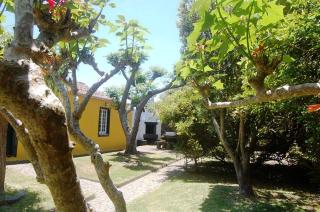 Casa das Calhetas - Turismo de Habitação - Calhetas - 9