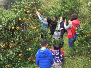 Fanny Manor B&B - Emei - 2