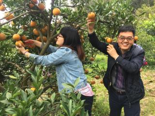 Fanny Manor B&B - Emei - 3