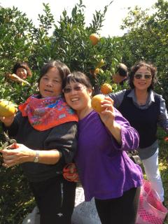 Fanny Manor B&B - Emei - 4