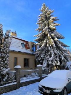 Vila Krocinka - Prague - 7