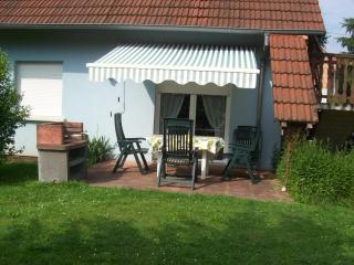 Les gîtes du lindenberg - Dambach - 8