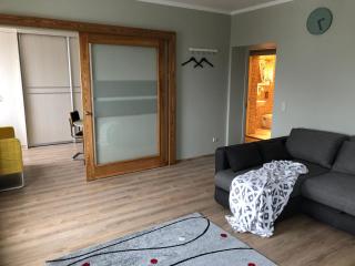 Family or Group Apartment in Green Center - Riga - 8